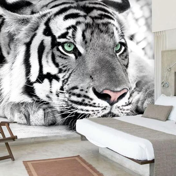 ANIMALES