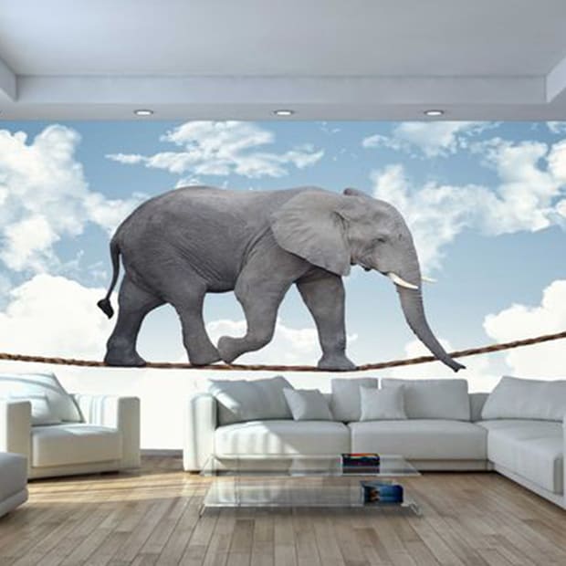 ANIMALES